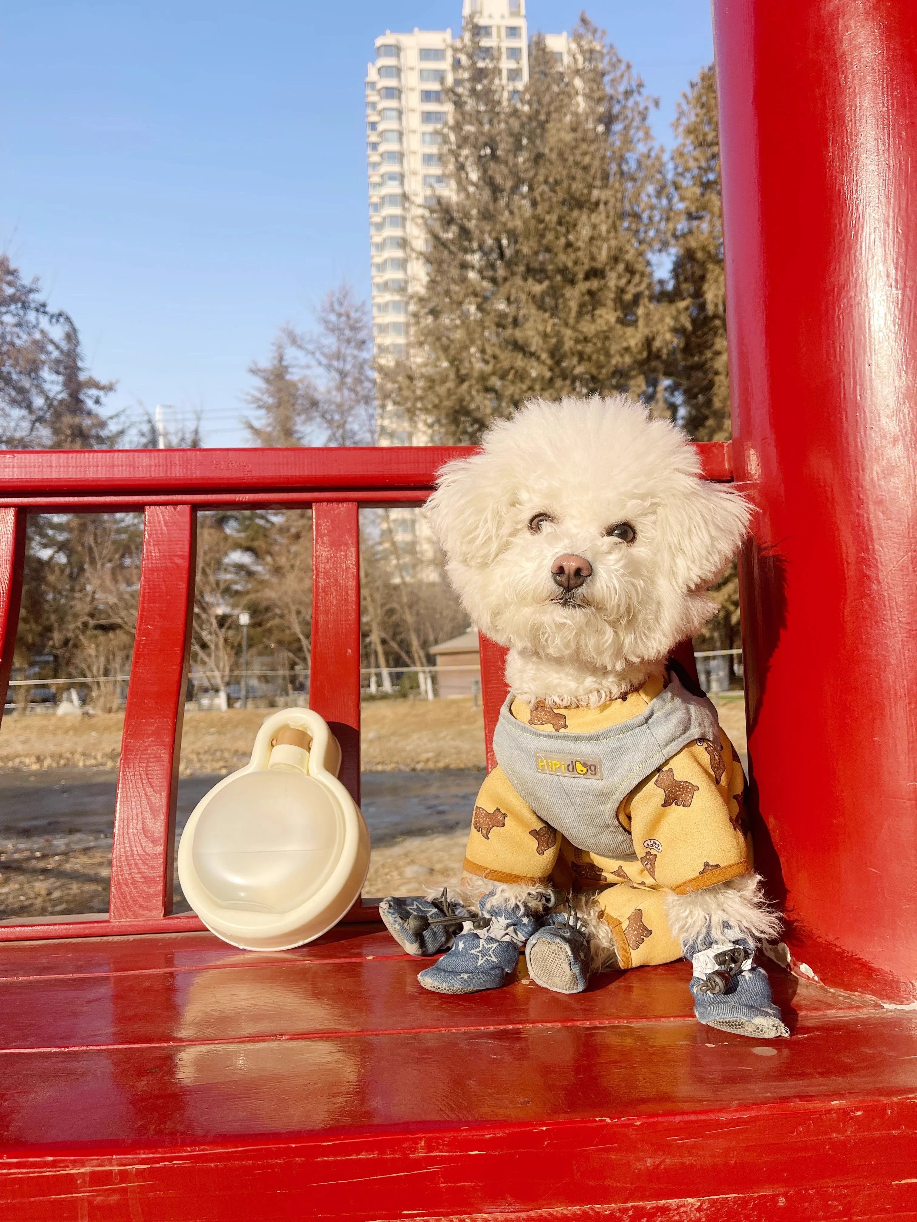 Toutougourdes : la collection de gourdes design pour chien – de nouveaux modèles arrivent !