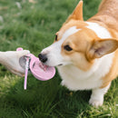 Gourde pour chien en silicone et acier inoxydable – Mignonne, pratique et idéale pour toutes vos sorties