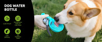 Gourde pour chien en silicone et acier inoxydable – Mignonne, pratique et idéale pour toutes vos sorties