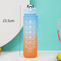 Gourde GORA |NEW|