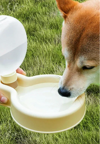 Gourde DOGGO Gourde