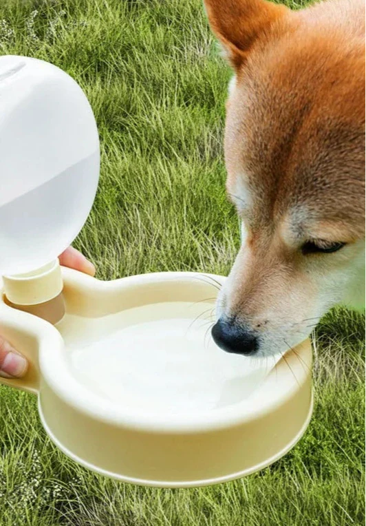 Gourde DOGGO Gourde