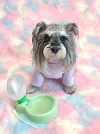 Gourde DOGGO Vert 350ml Gourde