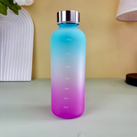 Gourde NEVO Bleu et Violet / 550ml Gourde