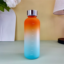 Gourde NEVO Orange et Bleu / 550ml Gourde