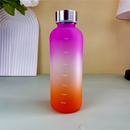 Gourde NEVO Violet et Orange / 550ml Gourde